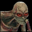 Follow Boneyparte