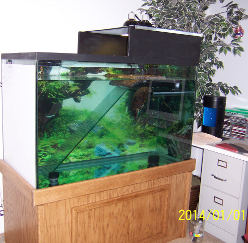 Clydes new tank